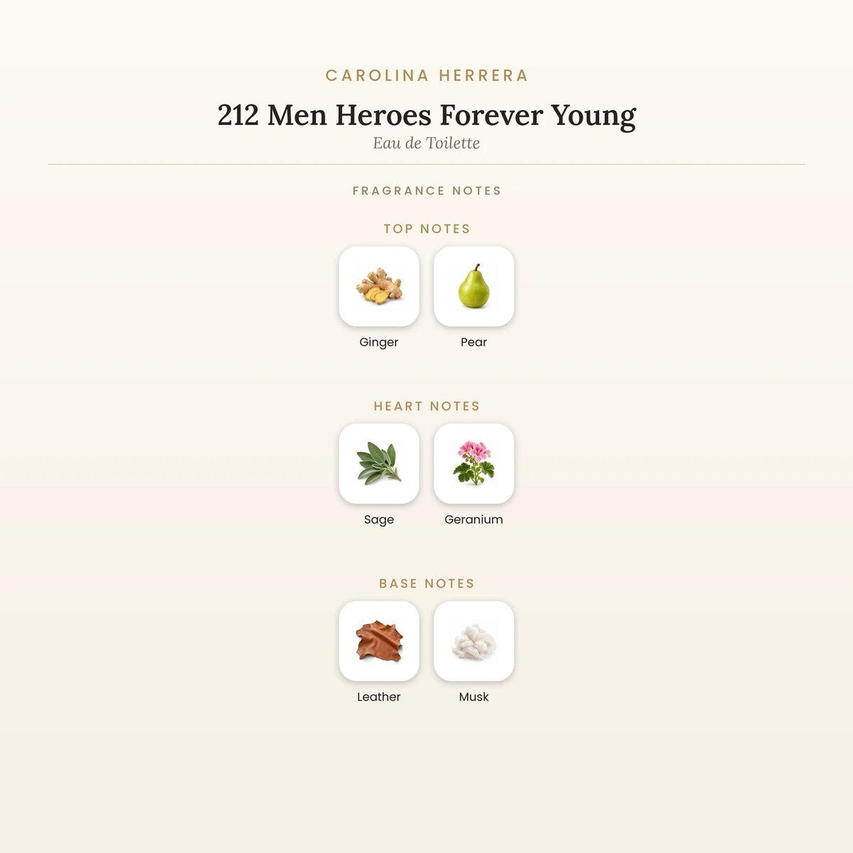 Fragrance note pyramid for Carolina Herrera 212 Men Heroes Forever Young Eau de Toilette showing Ginger, Pear top notes, Sage, Geranium heart notes and Leather, Musk base notes