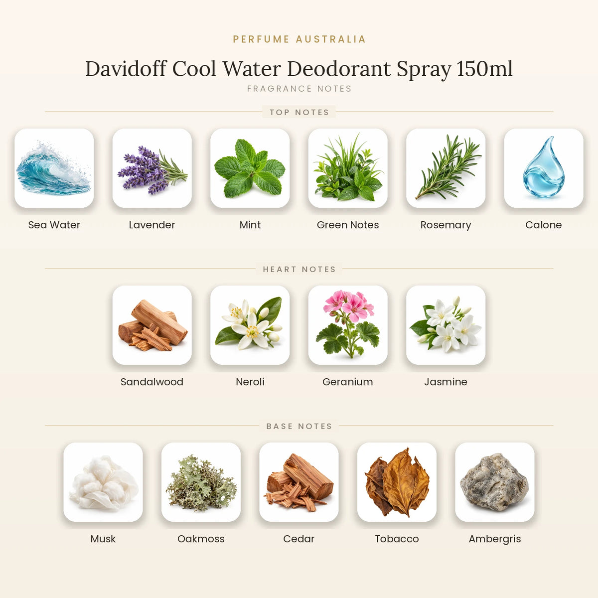 Fragrance note pyramid for Davidoff Cool Water Deodorant Spray 150ml showing Sea Water, Lavender, Mint, Green Notes, Rosemary, Calone top notes, Sandalwood, Neroli, Geranium, Jasmine heart notes and Musk, Oakmoss, Cedar, Tobacco, Ambergris base notes