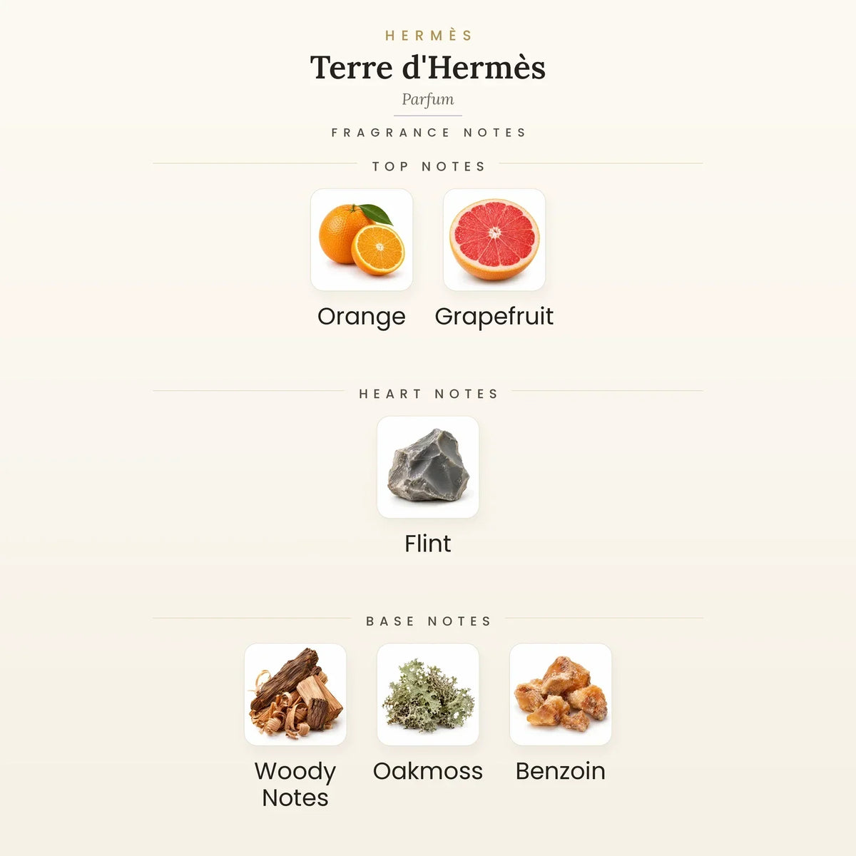 Fragrance note pyramid for Hermès Terre d&