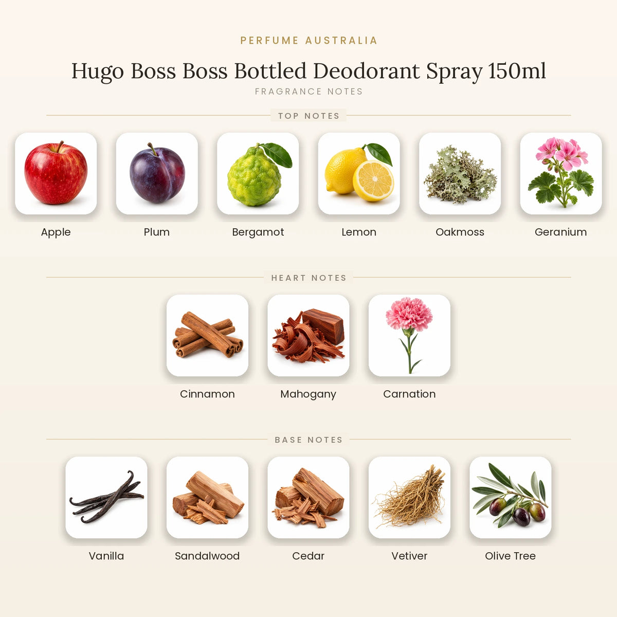 Fragrance note pyramid for Hugo Boss Boss Bottled Deodorant Spray 150ml showing Apple, Plum, Bergamot, Lemon, Oakmoss, Geranium top notes, Cinnamon, Mahogany, Carnation heart notes and Vanilla, Sandalwood, Cedar, Vetiver, Olive Tree base notes