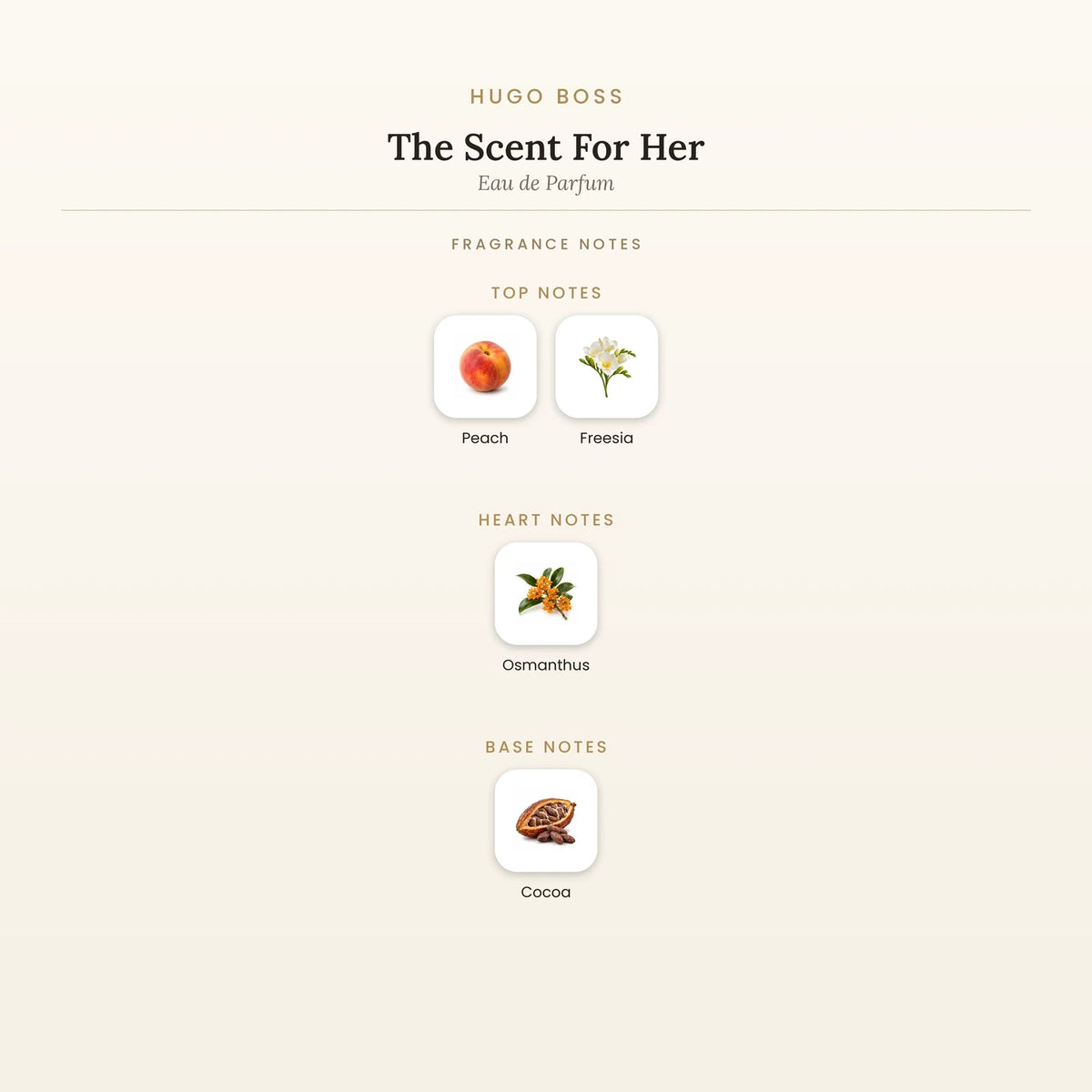 Fragrance note pyramid for Hugo Boss The Scent For Her Eau de Parfum showing Peach, Freesia top notes, Osmanthus heart notes and Cocoa base notes