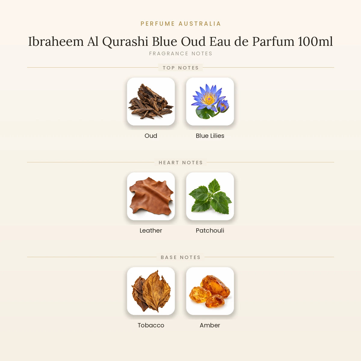 Fragrance note pyramid for Ibraheem Al Qurashi Blue Oud Eau de Parfum 100ml showing Oud, Blue Lilies top notes, Leather, Patchouli heart notes and Tobacco, Amber base notes