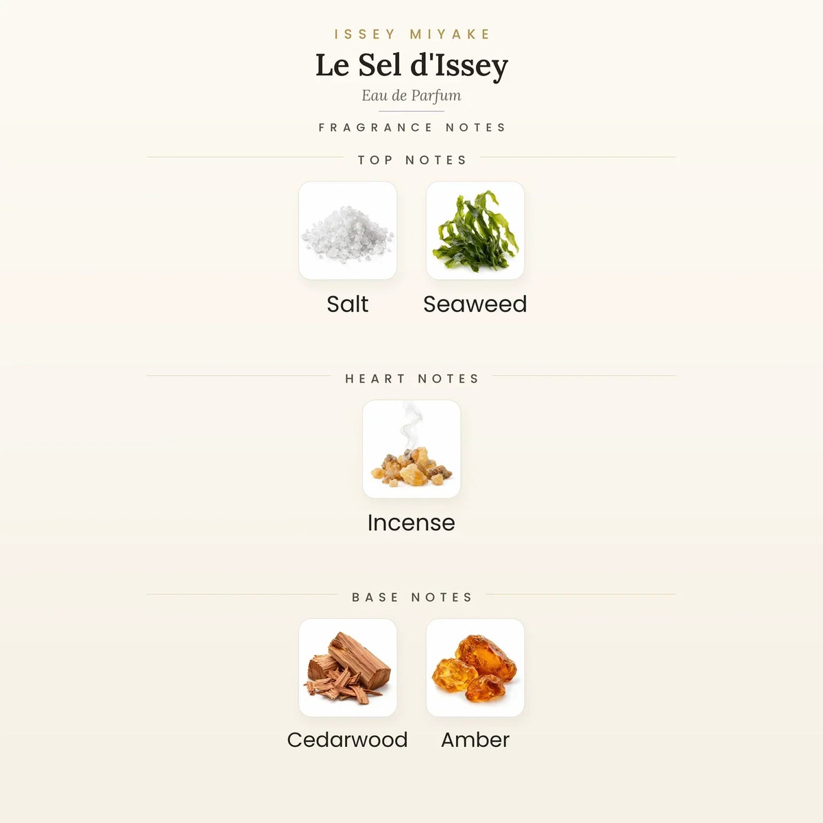 Fragrance note pyramid for Issey Miyake Le Sel d&