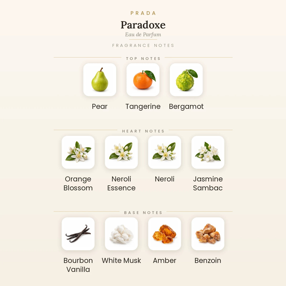 Fragrance note pyramid for Prada Paradoxe Eau de Parfum 90ml showing Pear, Tangerine, Bergamot top notes, Orange Blossom, Neroli Essence, Neroli heart notes and Bourbon Vanilla, White Musk, Amber base notes
