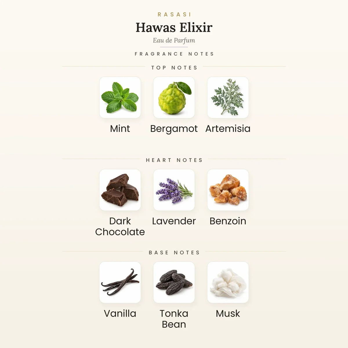 Fragrance note pyramid for Rasasi Hawas Elixir Eau de Parfum 100ml showing Mint, Bergamot top notes, Dark Chocolate, Lavender heart notes and Vanilla, Tonka Bean base notes