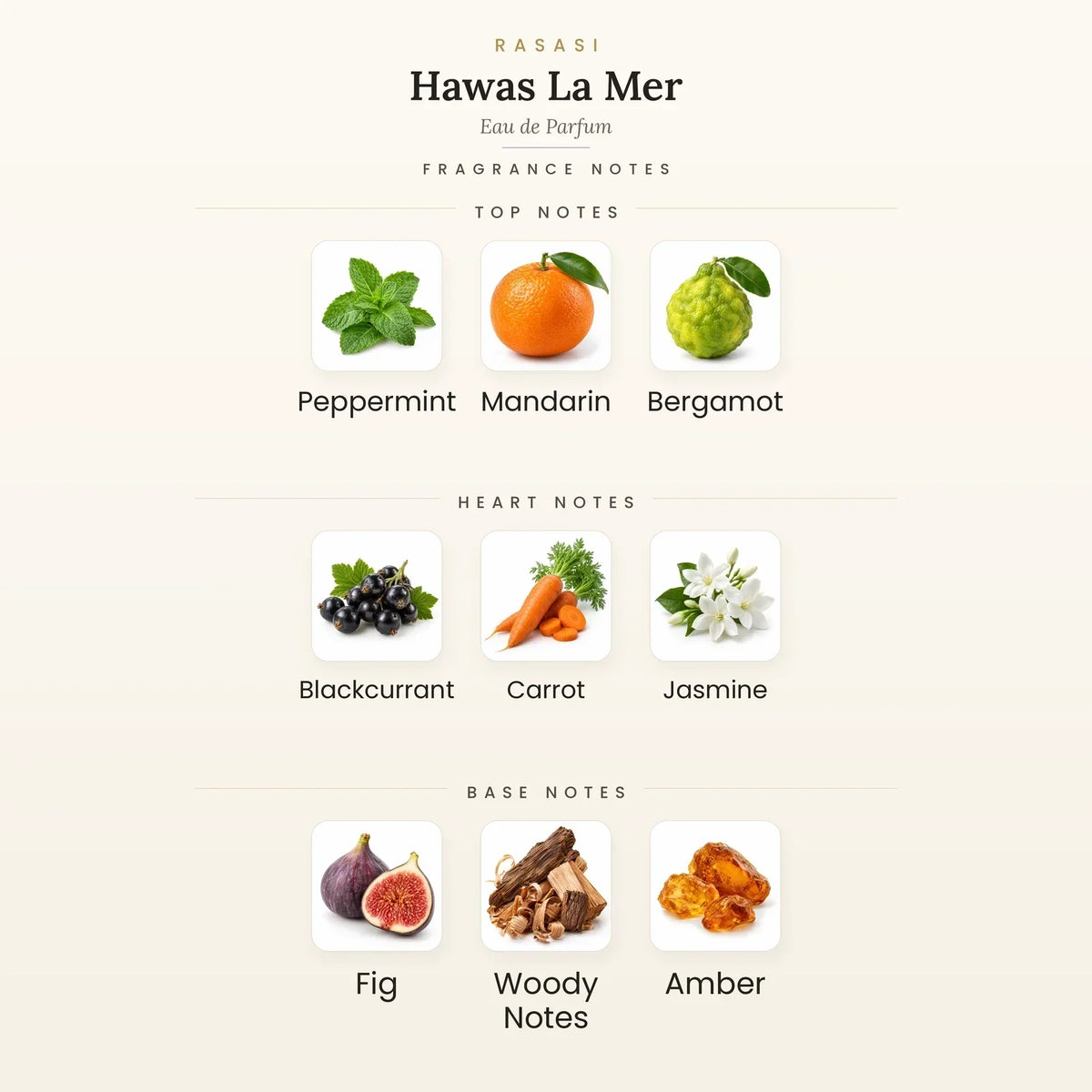 Fragrance note pyramid for Rasasi Hawas La Mer Eau de Parfum 100ml showing Peppermint, Mandarin top notes, Blackcurrant, Carrot heart notes and Fig, Woody Notes base notes