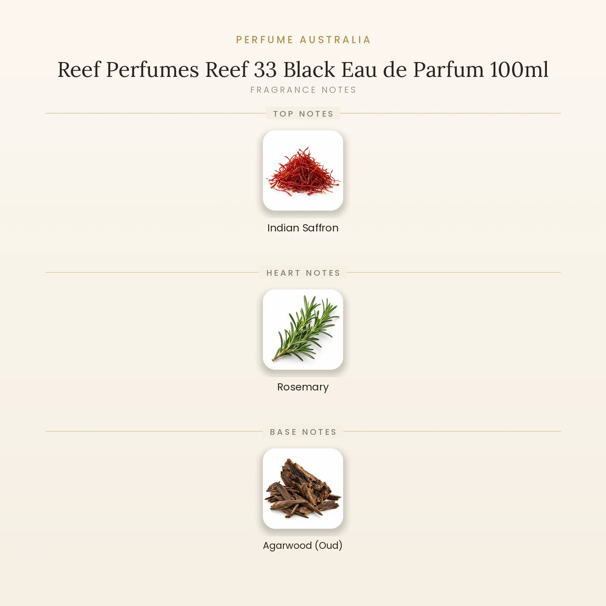 Fragrance note pyramid for Reef Perfumes Reef 33 Black Eau de Parfum 100ml showing Indian Saffron top notes, Rosemary heart notes and Agarwood (Oud) base notes