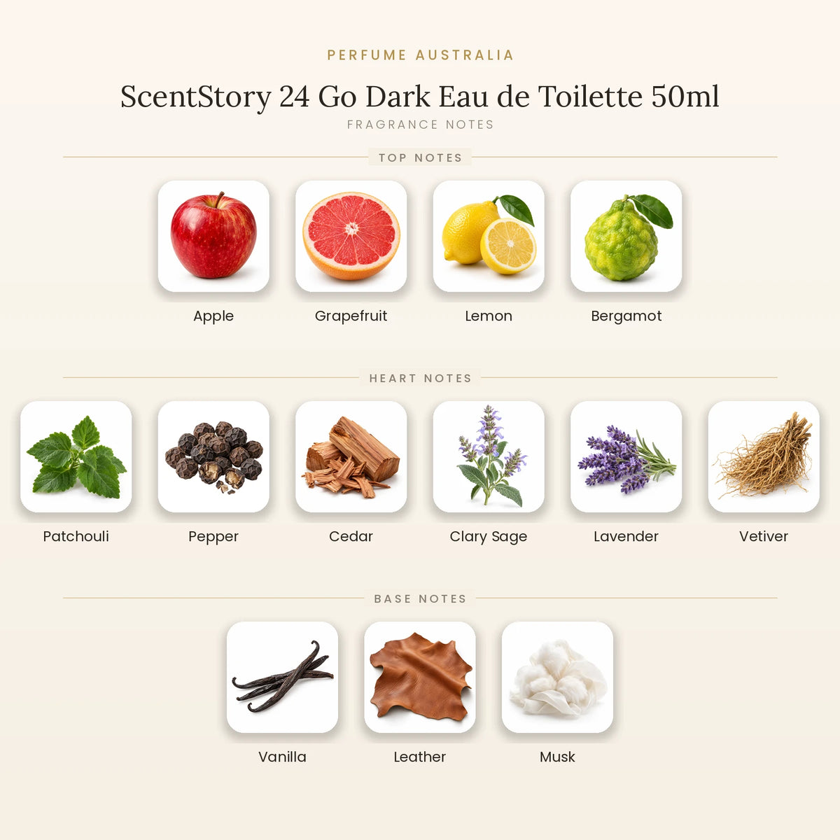 Fragrance note pyramid for ScentStory 24 Go Dark Eau de Toilette 50ml showing Apple, Grapefruit, Lemon, Bergamot top notes, Patchouli, Pepper, Cedar, Clary Sage, Lavender, Vetiver heart notes and Vanilla, Leather, Musk base notes