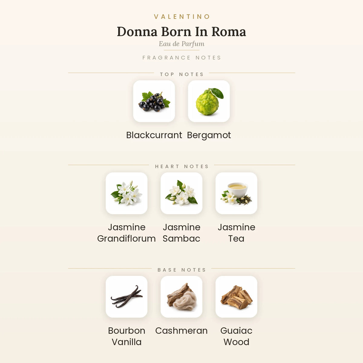 Fragrance note pyramid for Valentino Donna Born In Roma Eau de Parfum 100ml showing Blackcurrant, Bergamot top notes, Jasmine Grandiflorum, Jasmine Sambac, Jasmine Tea heart notes and Bourbon Vanilla, Cashmeran, Guaiac Wood base notes