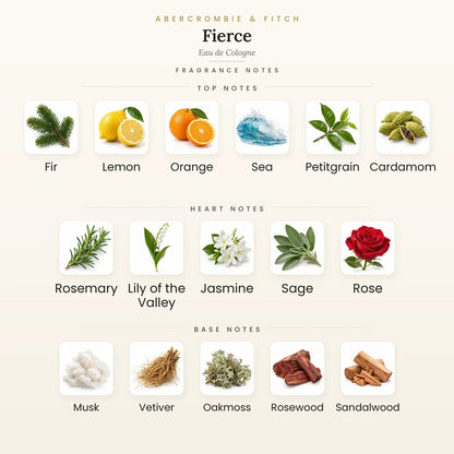 Fragrance note pyramid for Abercrombie &amp; Fitch Fierce Eau de Cologne 50ml showing Fir, Lemon top notes, Rosemary, Lily-of-the-Valley heart notes and Musk, Vetiver base notes