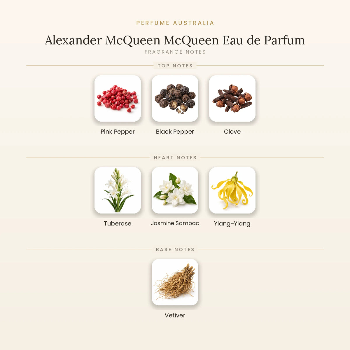 Fragrance note pyramid for Alexander McQueen McQueen Eau de Parfum showing Pink Pepper, Black Pepper, Clove top notes, Tuberose, Jasmine Sambac, Ylang-Ylang heart notes and Vetiver base notes