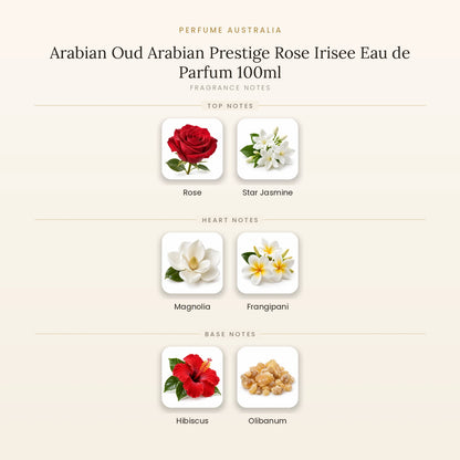 Fragrance note pyramid for Arabian Oud Arabian Prestige Rose Irisee Eau de Parfum 100ml showing Rose, Star Jasmine top notes, Magnolia, Frangipani heart notes and Hibiscus, Olibanum base notes