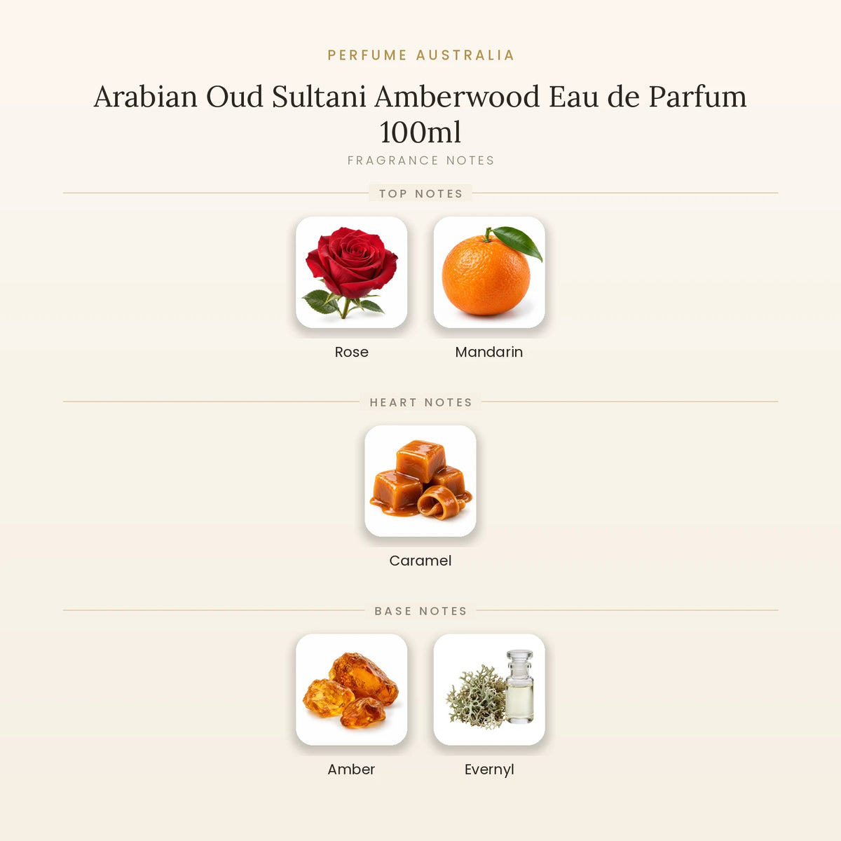 Fragrance note pyramid for Arabian Oud Sultani Amberwood Eau de Parfum 100ml showing Rose, Mandarin top notes, Caramel heart notes and Amber, Evernyl base notes