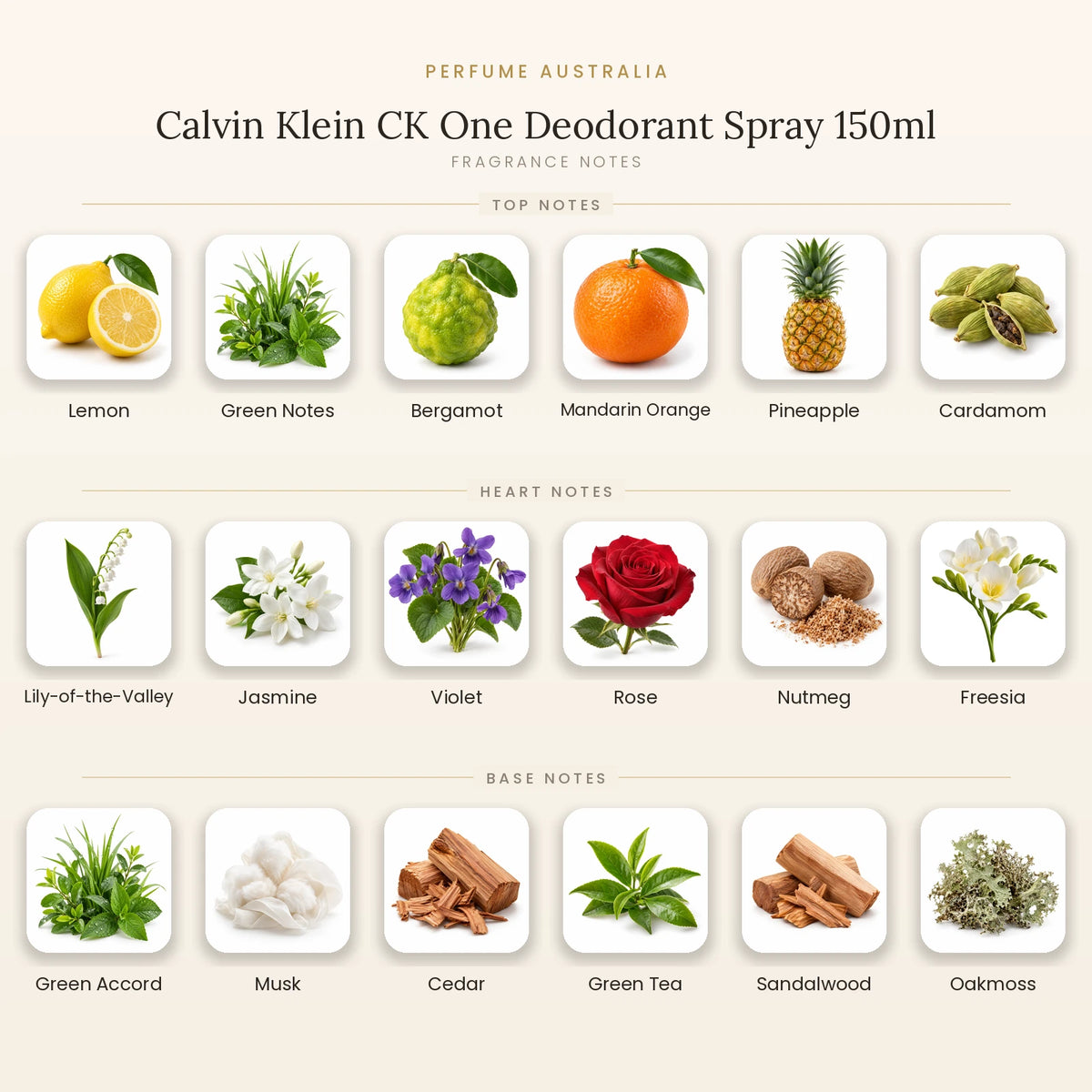 Fragrance note pyramid for Calvin Klein CK One Deodorant Spray 150ml showing Lemon, Green Notes, Bergamot, Mandarin Orange, Pineapple, Cardamom top notes, Lily-of-the-Valley, Jasmine, Violet, Rose, Nutmeg, Freesia heart notes and Green Accord, Musk, Cedar, Green Tea, Sandalwood, Oakmoss base notes