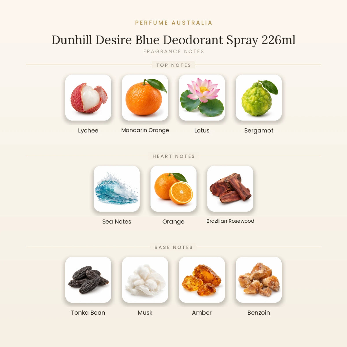 Fragrance note pyramid for Dunhill Desire Blue Deodorant Spray 226ml showing Lychee, Mandarin Orange, Lotus, Bergamot top notes, Sea Notes, Orange, Brazilian Rosewood heart notes and Tonka Bean, Musk, Amber, Benzoin base notes