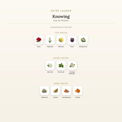 Fragrance note pyramid for Estée Lauder Knowing Eau de Parfum showing Rose, Tuberose top notes, Jasmine, Patchouli heart notes and Oakmoss, Vetiver base notes