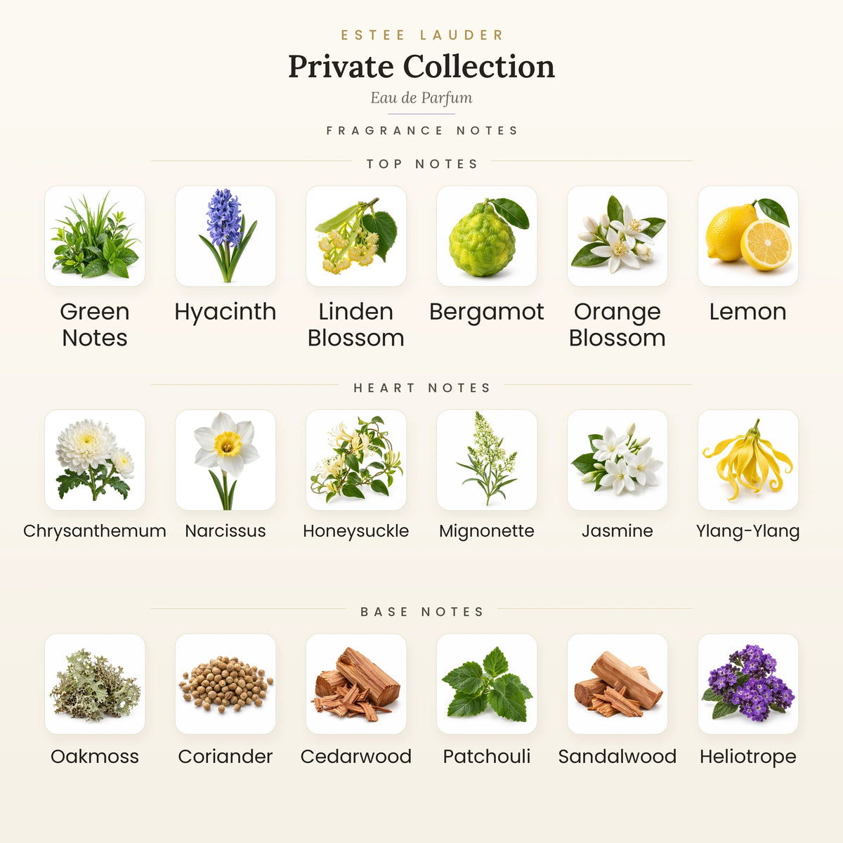 Estee Lauder Private Collection Eau de Parfum fragrance notes - top, heart and base notes