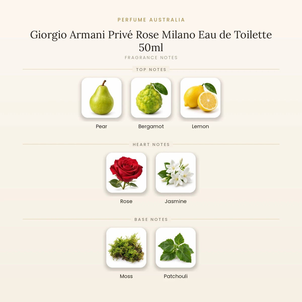 Fragrance note pyramid for Giorgio Armani Privé Rose Milano Eau de Toilette 50ml showing Pear, Bergamot, Lemon top notes, Rose, Jasmine heart notes and Moss, Patchouli base notes