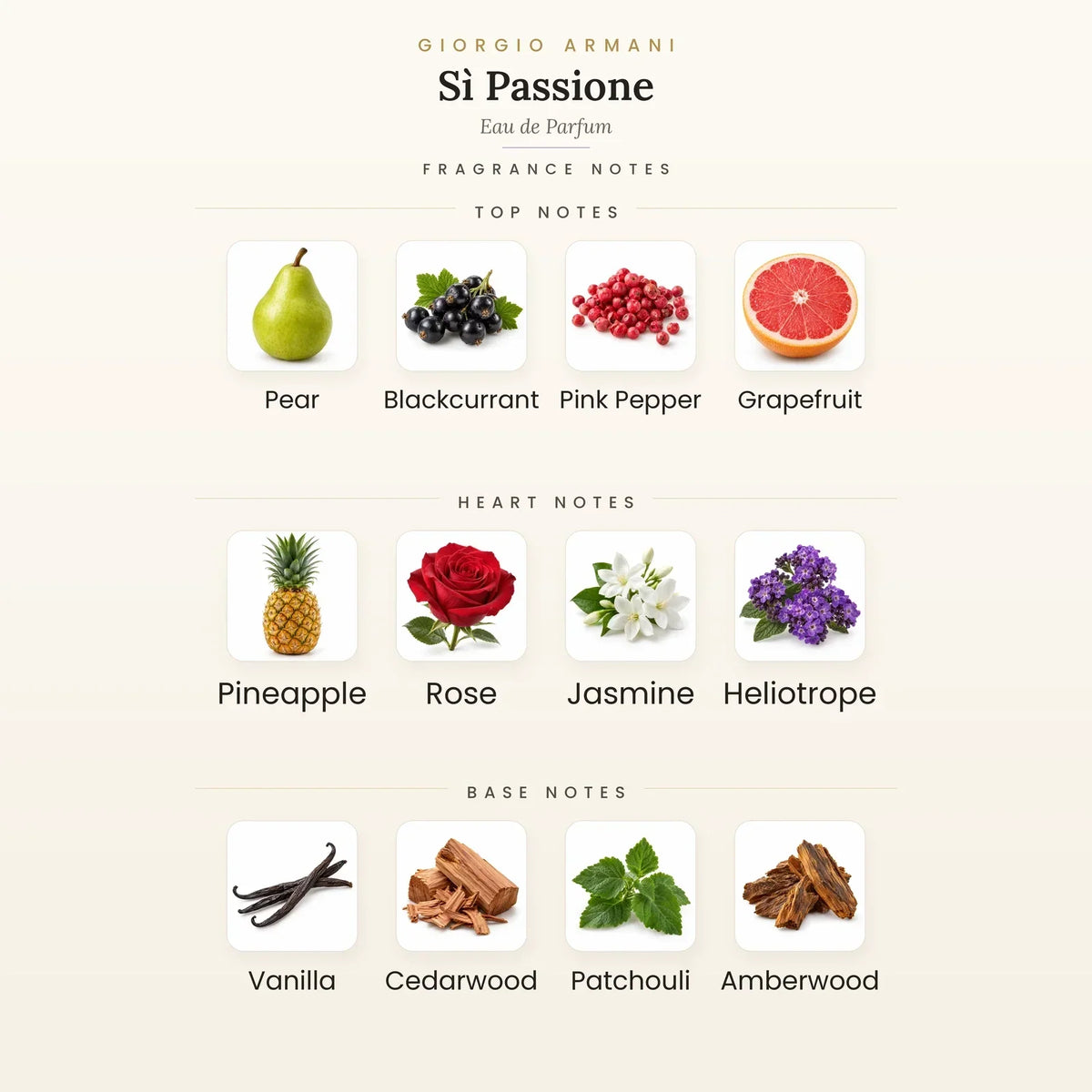 Fragrance note pyramid for Giorgio Armani Sì Passione Eau de Parfum 100ml showing Pear, Black Currant top notes, Pineapple, Rose heart notes and Vanilla, Cedar base notes