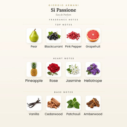 Fragrance note pyramid for Giorgio Armani Sì Passione Eau de Parfum 100ml showing Pear, Black Currant top notes, Pineapple, Rose heart notes and Vanilla, Cedar base notes