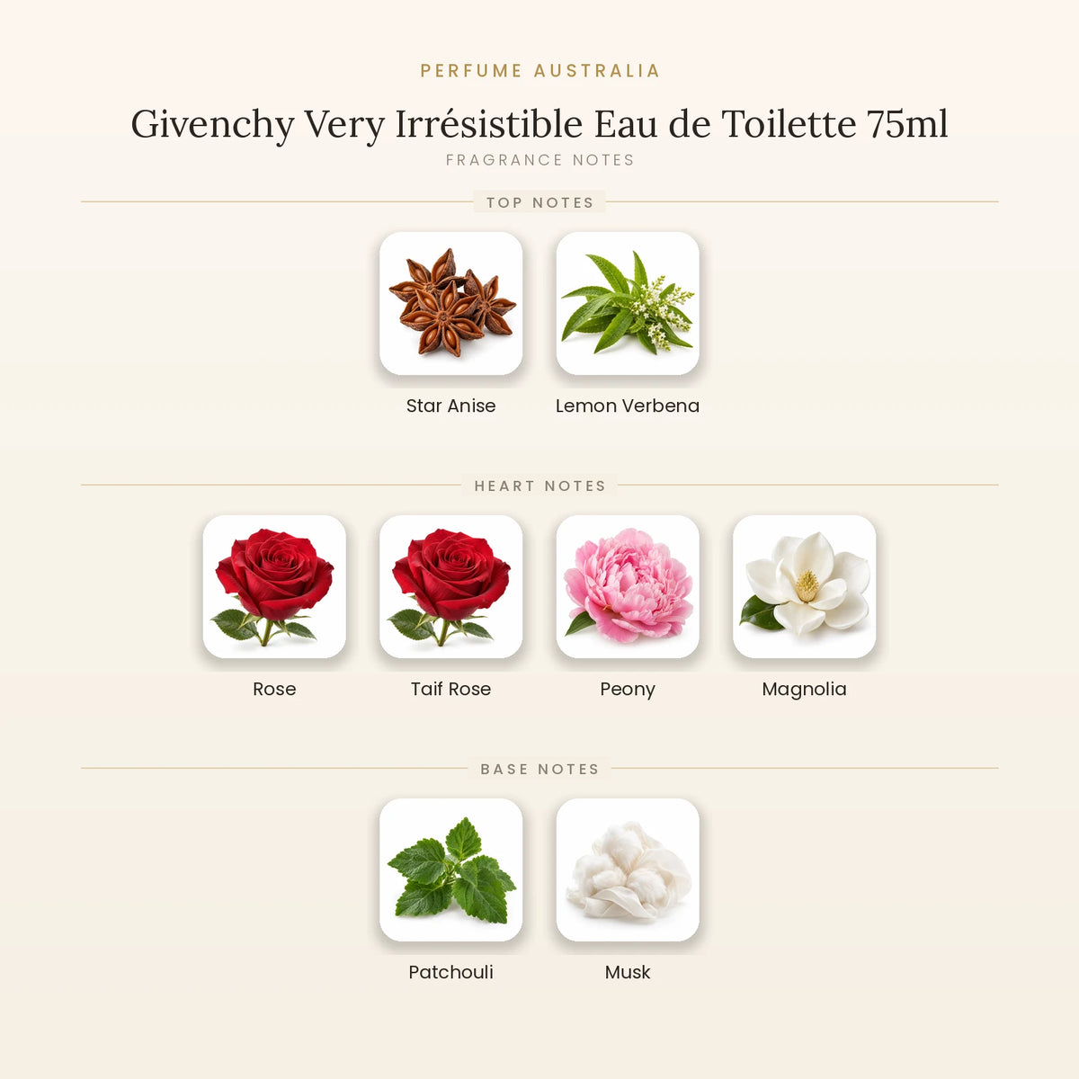 Fragrance note pyramid for Givenchy Very Irrésistible Eau de Toilette 75ml showing Star Anise, Lemon Verbena top notes, Rose, Taif Rose, Peony, Magnolia heart notes and Patchouli, Musk base notes
