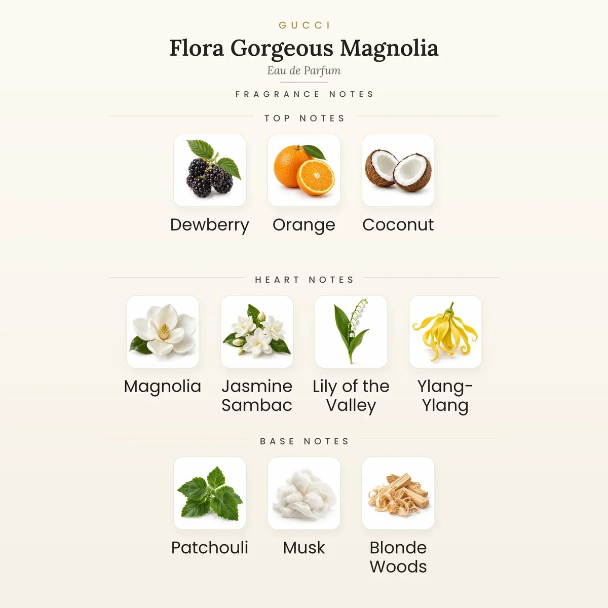 Fragrance note pyramid for Gucci Flora Gorgeous Magnolia Eau de Parfum 100ml showing Dewberry, Coconut top notes, Magnolia, Jasmine Sambac heart notes and Musk, Patchouli base notes