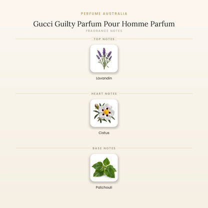 Fragrance note pyramid for Gucci Guilty Parfum Pour Homme Parfum