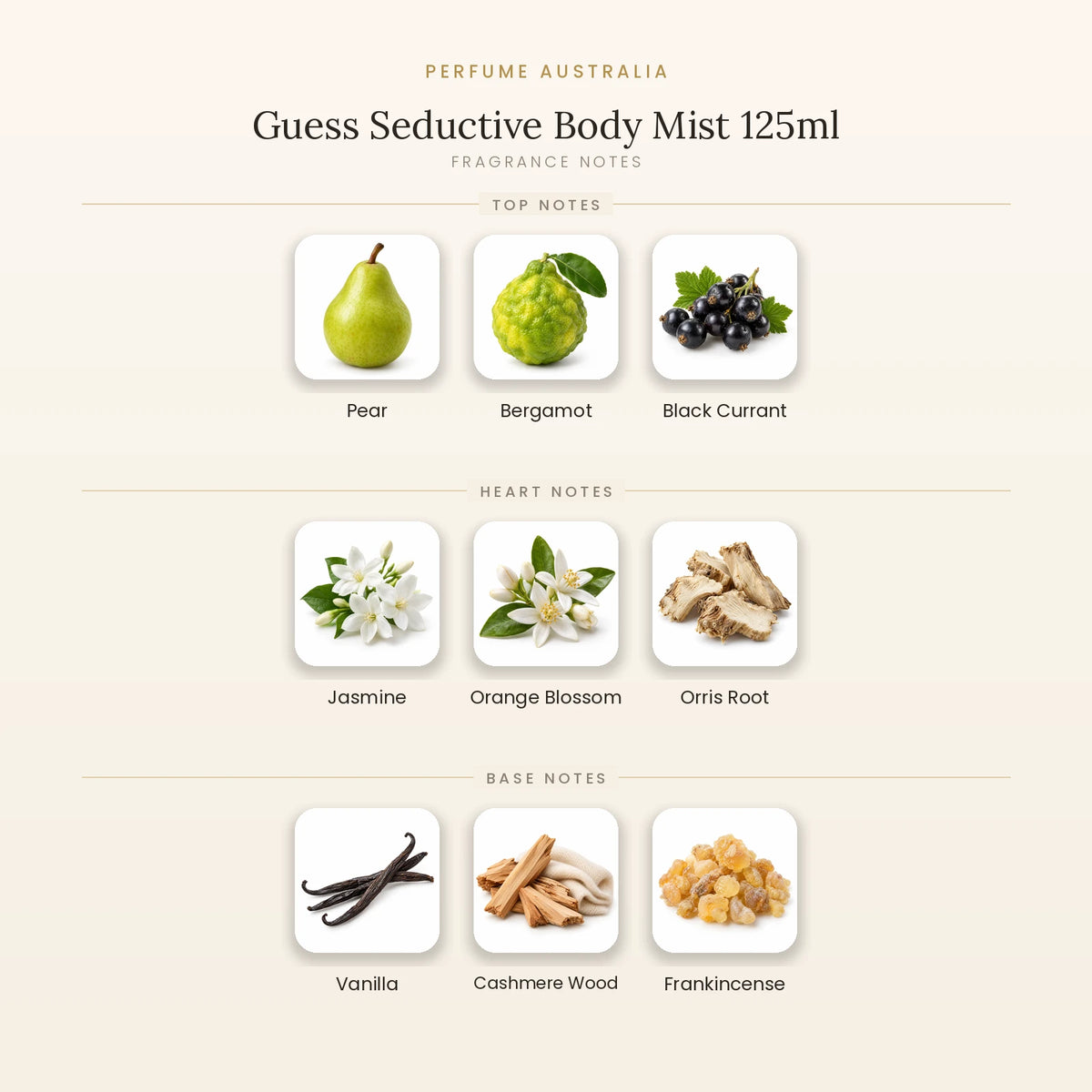 Fragrance note pyramid for Guess Seductive Body Mist 125ml showing Pear, Bergamot, Black Currant top notes, Jasmine, Orange Blossom, Orris Root heart notes and Vanilla, Cashmere Wood, Frankincense base notes