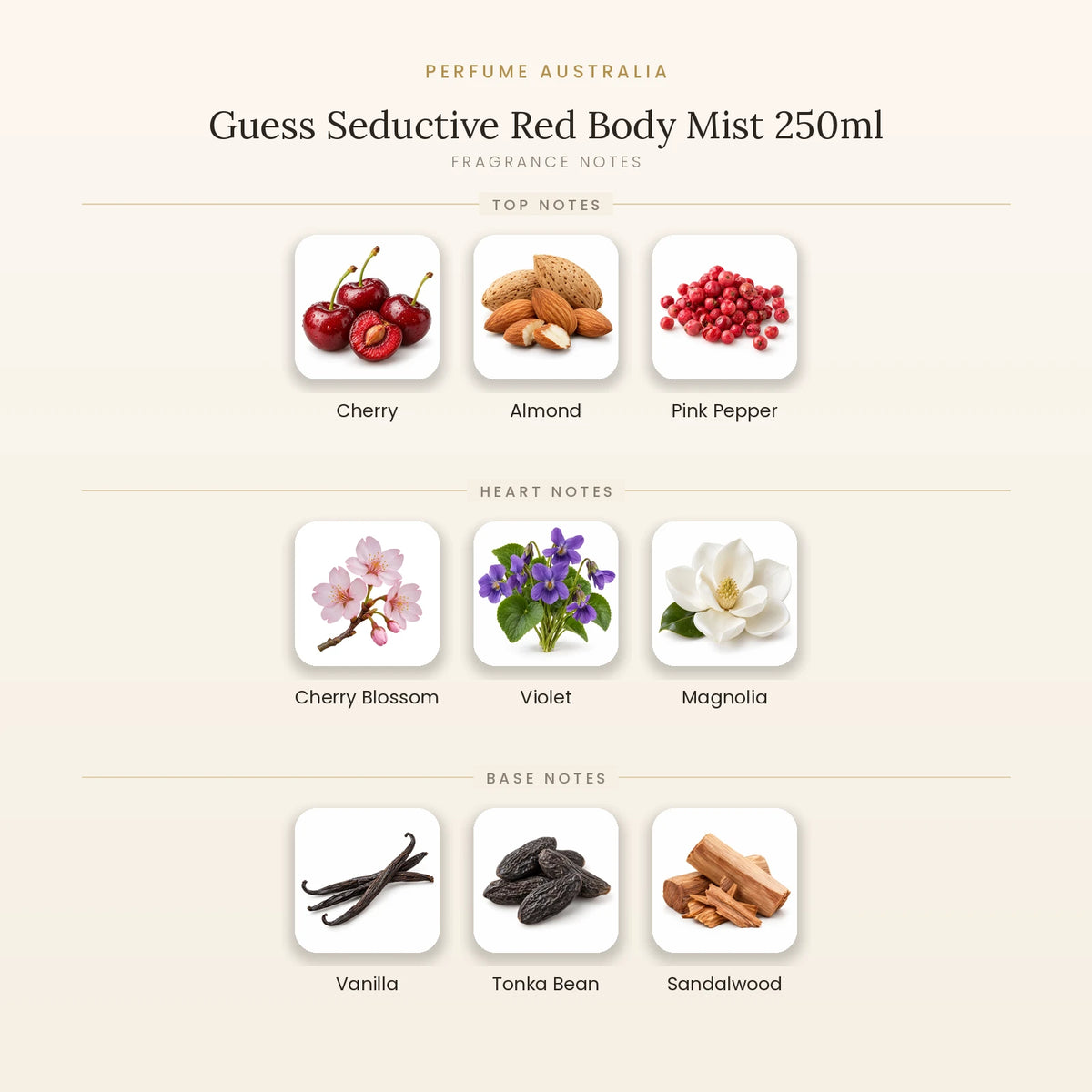 Fragrance note pyramid for Guess Seductive Red Body Mist 250ml showing Cherry, Almond, Pink Pepper top notes, Cherry Blossom, Violet, Magnolia heart notes and Vanilla, Tonka Bean, Sandalwood base notes