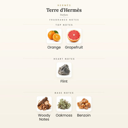Fragrance note pyramid for Hermès Terre d&