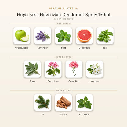 Fragrance note pyramid for Hugo Boss Hugo Man Deodorant Spray 150ml showing Green Apple, Lavender, Mint, Grapefruit, Basil top notes, Sage, Geranium, Carnation, Jasmine heart notes and Fir, Cedar, Patchouli base notes