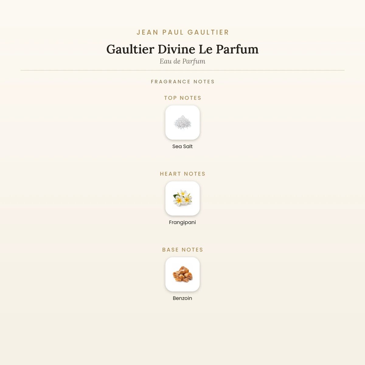 Fragrance note pyramid for Jean Paul Gaultier Gaultier Divine Le Parfum Eau de Parfum showing Sea Salt top notes, Frangipani heart notes and Benzoin base notes
