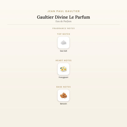 Fragrance note pyramid for Jean Paul Gaultier Gaultier Divine Le Parfum Eau de Parfum showing Sea Salt top notes, Frangipani heart notes and Benzoin base notes