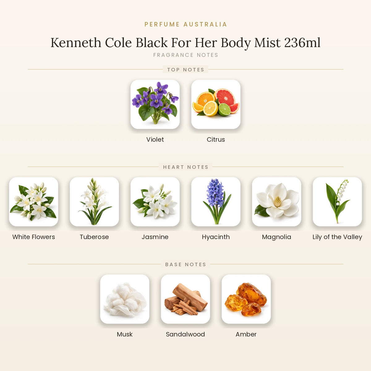 Fragrance note pyramid for Kenneth Cole Black For Her Body Mist 236ml showing Violet, Citrus top notes, White Flowers, Tuberose, Jasmine, Hyacinth, Magnolia, Lily of the Valley heart notes and Musk, Sandalwood, Amber base notes