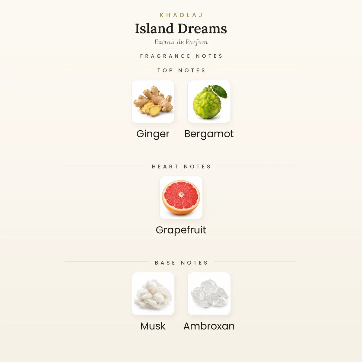 Fragrance note pyramid for Khadlaj Island Dreams Extrait de Parfum 100ml showing Ginger, Bergamot top notes, Grapefruit heart notes and Musk, Ambroxan base notes