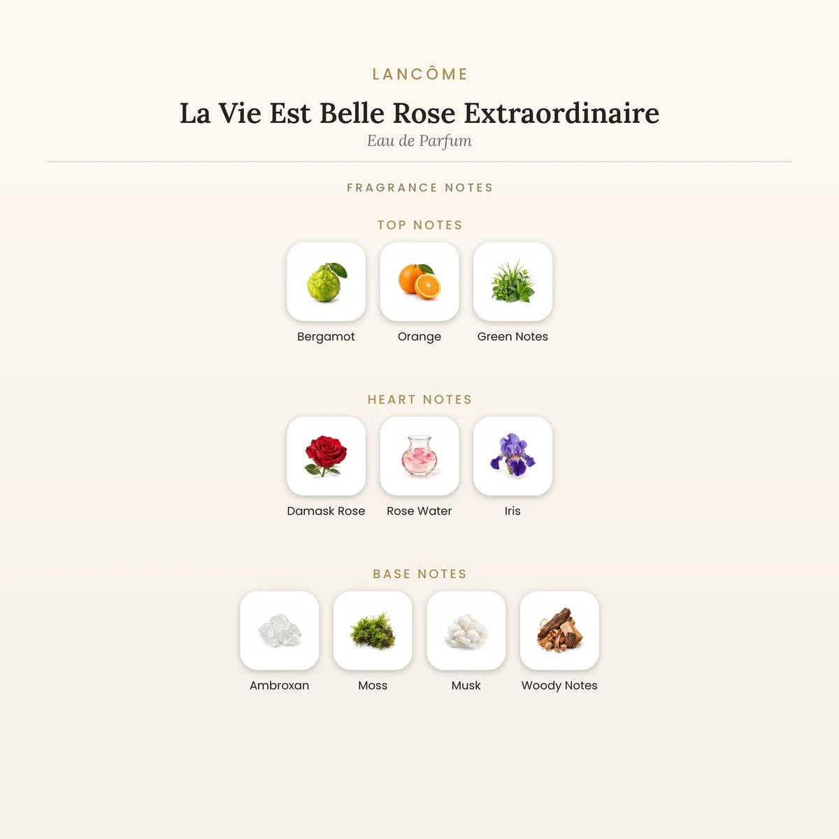 Fragrance note pyramid for Lancôme La Vie Est Belle Rose Extraordinaire Eau de Parfum showing Bergamot, Orange top notes, Damask Rose, Rose Water heart notes and Ambroxan, Moss base notes