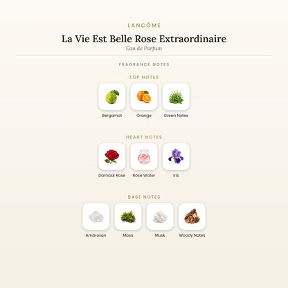 Fragrance note pyramid for Lancôme La Vie Est Belle Rose Extraordinaire Eau de Parfum showing Bergamot, Orange top notes, Damask Rose, Rose Water heart notes and Ambroxan, Moss base notes