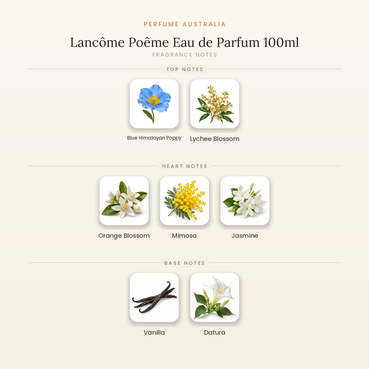Fragrance note pyramid for Lancôme Poême Eau de Parfum 100ml showing Blue Himalayan Poppy, Lychee Blossom top notes, Orange Blossom, Mimosa, Jasmine heart notes and Vanilla, Datura base notes