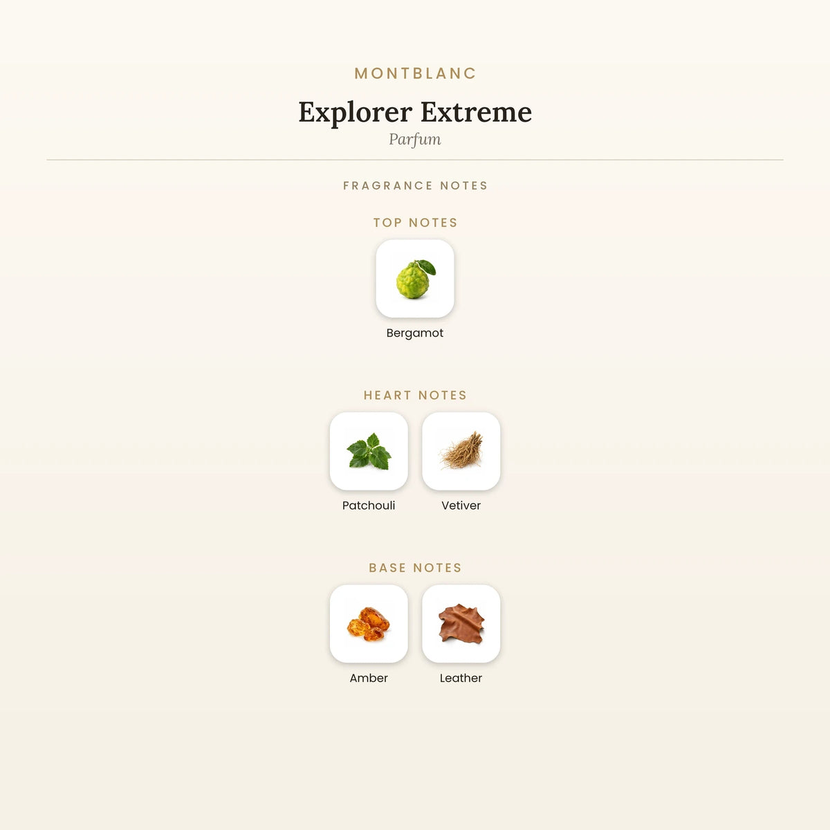 Fragrance note pyramid for Montblanc Explorer Extreme Parfum showing Bergamot top notes, Patchouli, Vetiver heart notes and Amber, Leather base notes