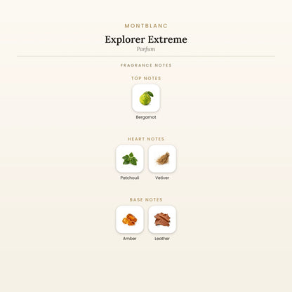 Fragrance note pyramid for Montblanc Explorer Extreme Parfum showing Bergamot top notes, Patchouli, Vetiver heart notes and Amber, Leather base notes