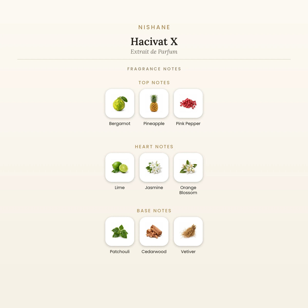 Fragrance note pyramid for Nishane Hacivat X Extrait de Parfum showing Bergamot, Pineapple top notes, Lime, Jasmine heart notes and Patchouli, Cedarwood base notes