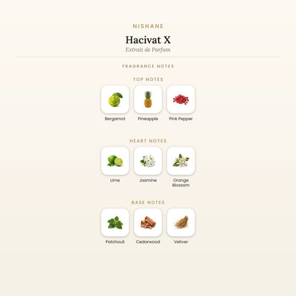 Fragrance note pyramid for Nishane Hacivat X Extrait de Parfum showing Bergamot, Pineapple top notes, Lime, Jasmine heart notes and Patchouli, Cedarwood base notes