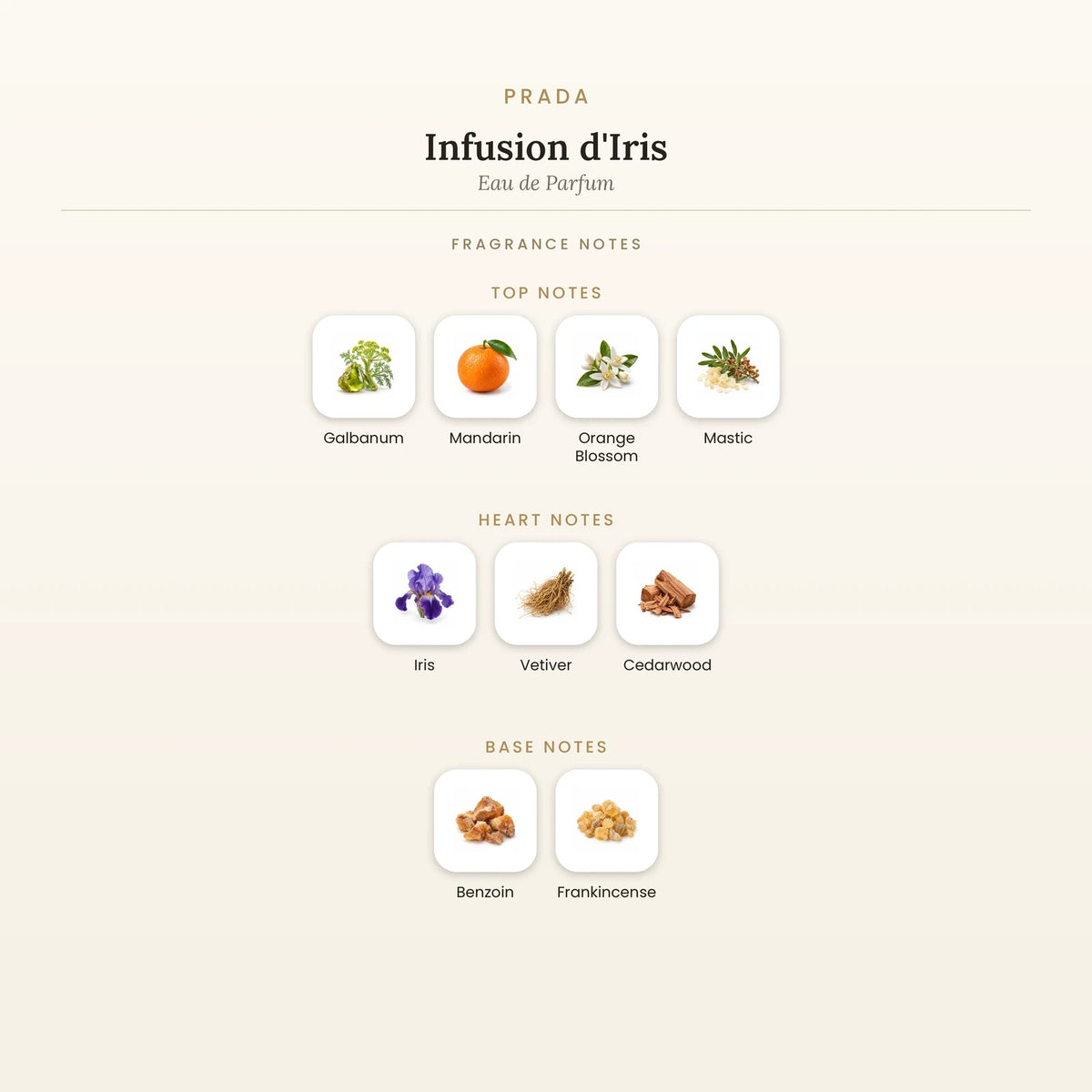 Fragrance note pyramid for Prada Infusion d&