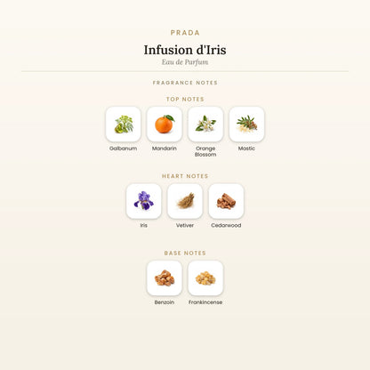 Fragrance note pyramid for Prada Infusion d&