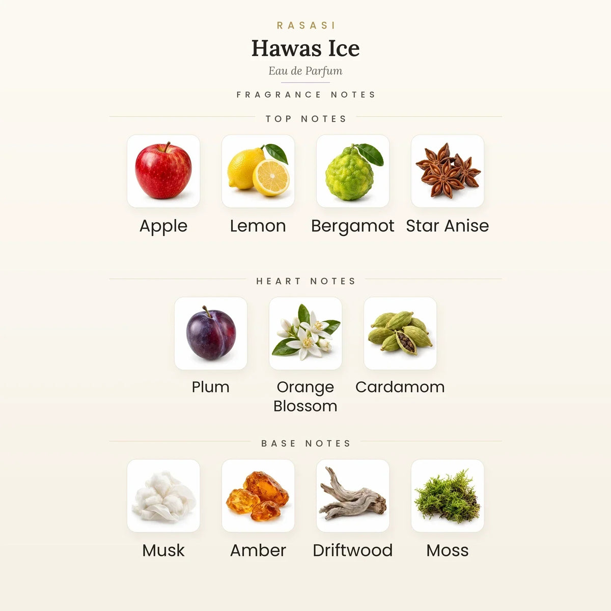 Fragrance note pyramid for Rasasi Hawas Ice Eau de Parfum 100ml showing Apple, Italian Lemon top notes, Plum, Orange Blossom heart notes and Musk, Amber base notes