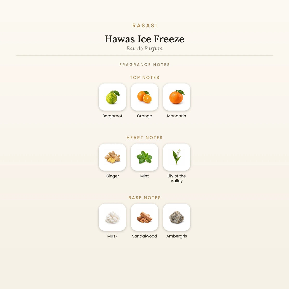 Fragrance note pyramid for Rasasi Hawas Ice Freeze Eau de Parfum 100ml showing Bergamot, Orange top notes, Ginger, Mint heart notes and Musk, Sandalwood base notes