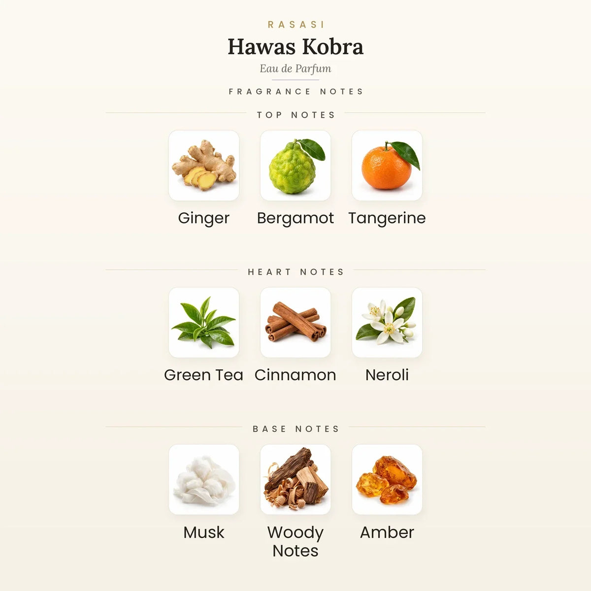 Fragrance note pyramid for Rasasi Hawas Kobra Eau de Parfum 100ml showing Ginger, Bergamot top notes, Green Tea, Cinnamon heart notes and Musk, Woodsy Notes base notes