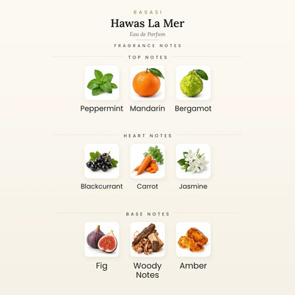 Fragrance note pyramid for Rasasi Hawas La Mer Eau de Parfum 100ml showing Peppermint, Mandarin top notes, Blackcurrant, Carrot heart notes and Fig, Woody Notes base notes