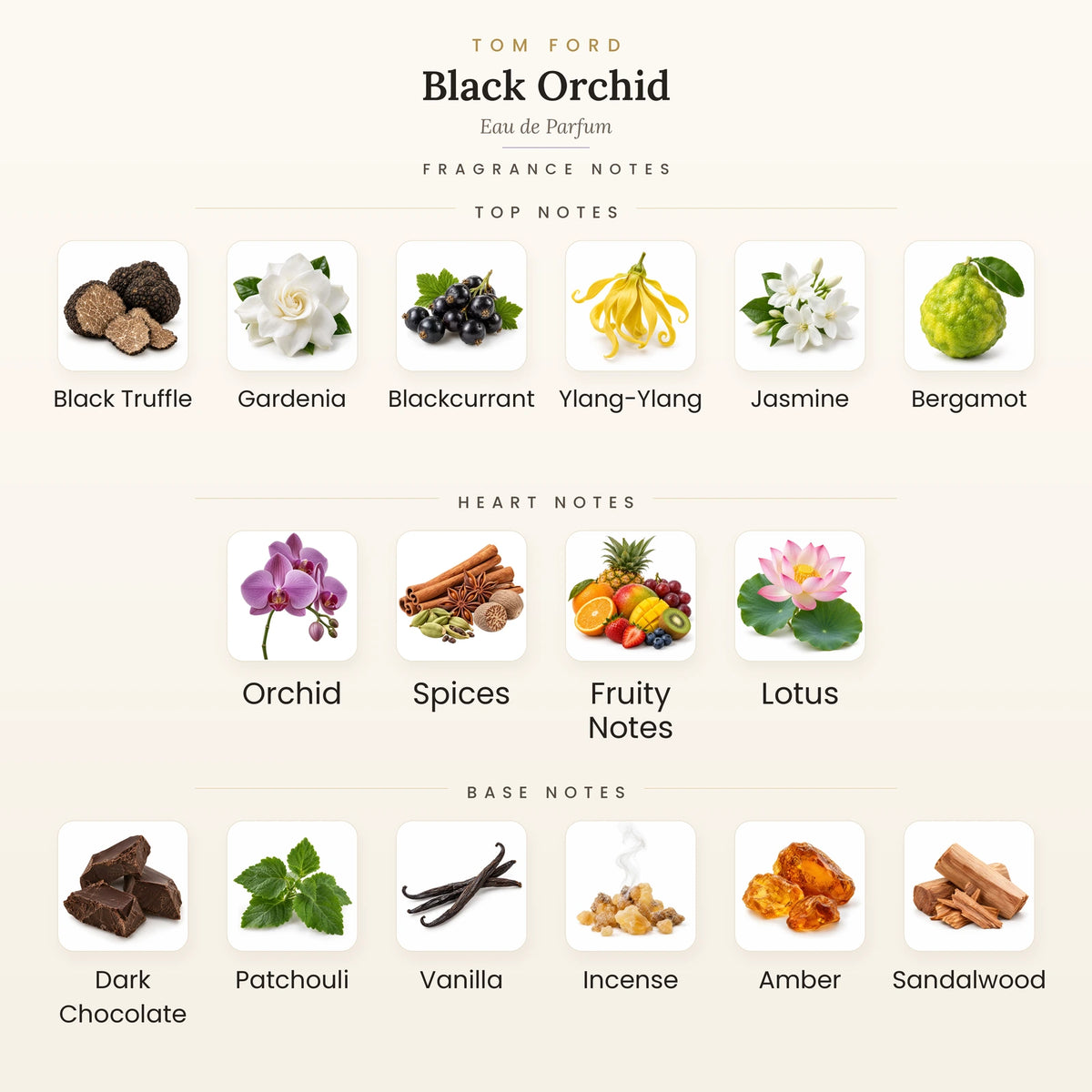 Tom Ford Black Orchid Eau de Parfum fragrance notes - top, heart and base notes