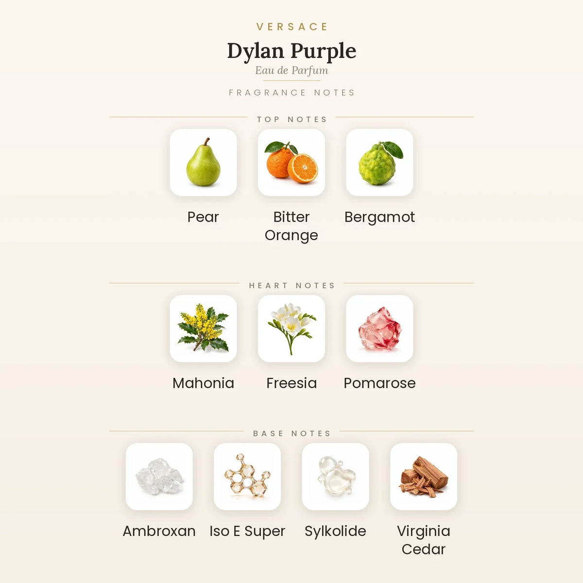 Fragrance note pyramid for Versace Dylan Purple Eau de Parfum 100ml showing Pear, Bitter Orange, Bergamot top notes, Mahonia, Freesia, Pomarose heart notes and Ambroxan, Iso E Super, Sylkolide base notes